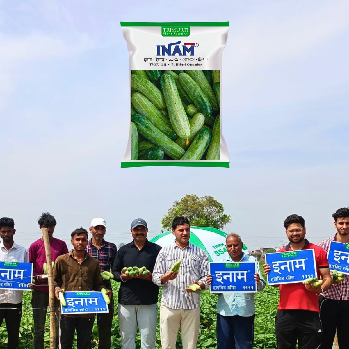 🥒 इनाम (TMCU 1111) – उच्च उपज खीरा हाइब्रिड

✅ उच्च उपज देने वाला हाइब्रिड खीरा
✅ पहली मादा फूल: 30–35 दिन में
✅ प्रति बेल फल संख्या: 10–16
✅ पहली तुड़ाई: 45–50 दिन
✅ फल लंबाई: 18–20 से.मी.
✅ वजन: 180–200 ग्राम
✅ आकर्षक हरा रंग 🟢

संपर्क करें : 9959097764