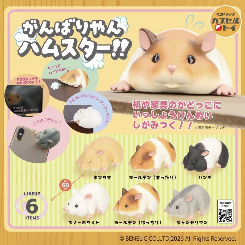 두니부 tweet media