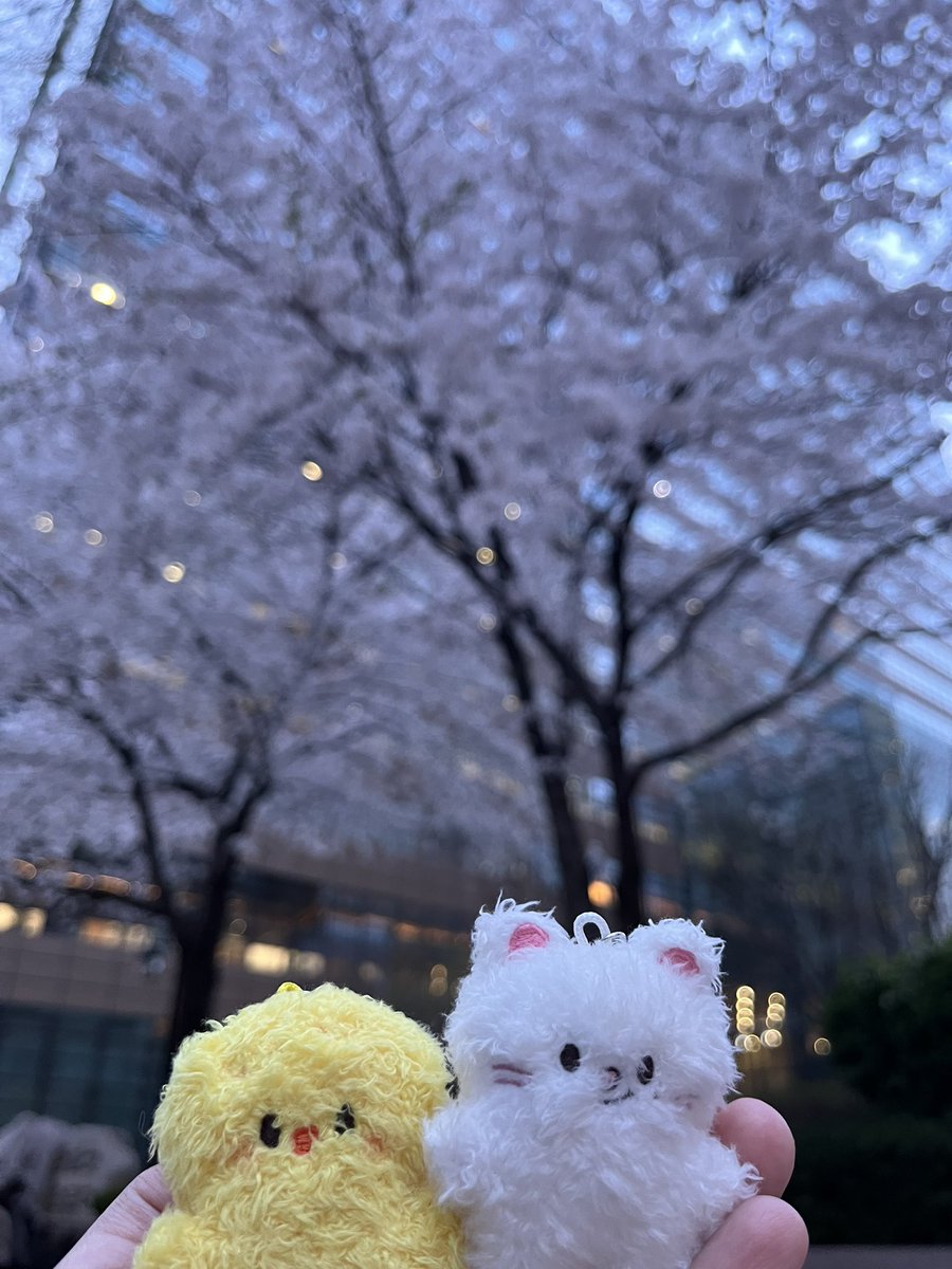 ㅎㅈ나의빛 LOVER tweet media