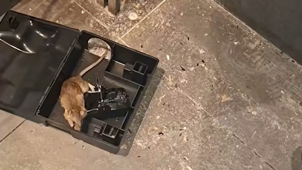 NOS Mirror tweet media