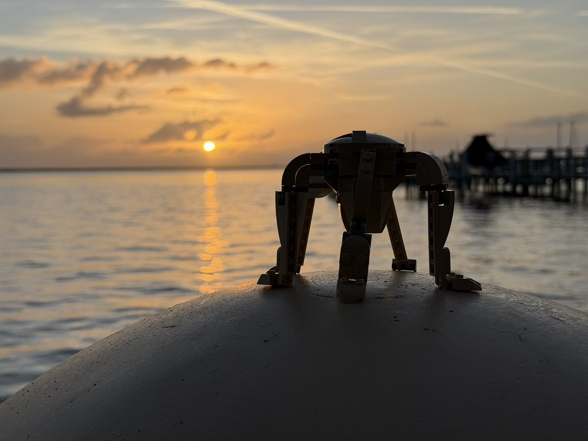 David Diebold 🚀 tweet media