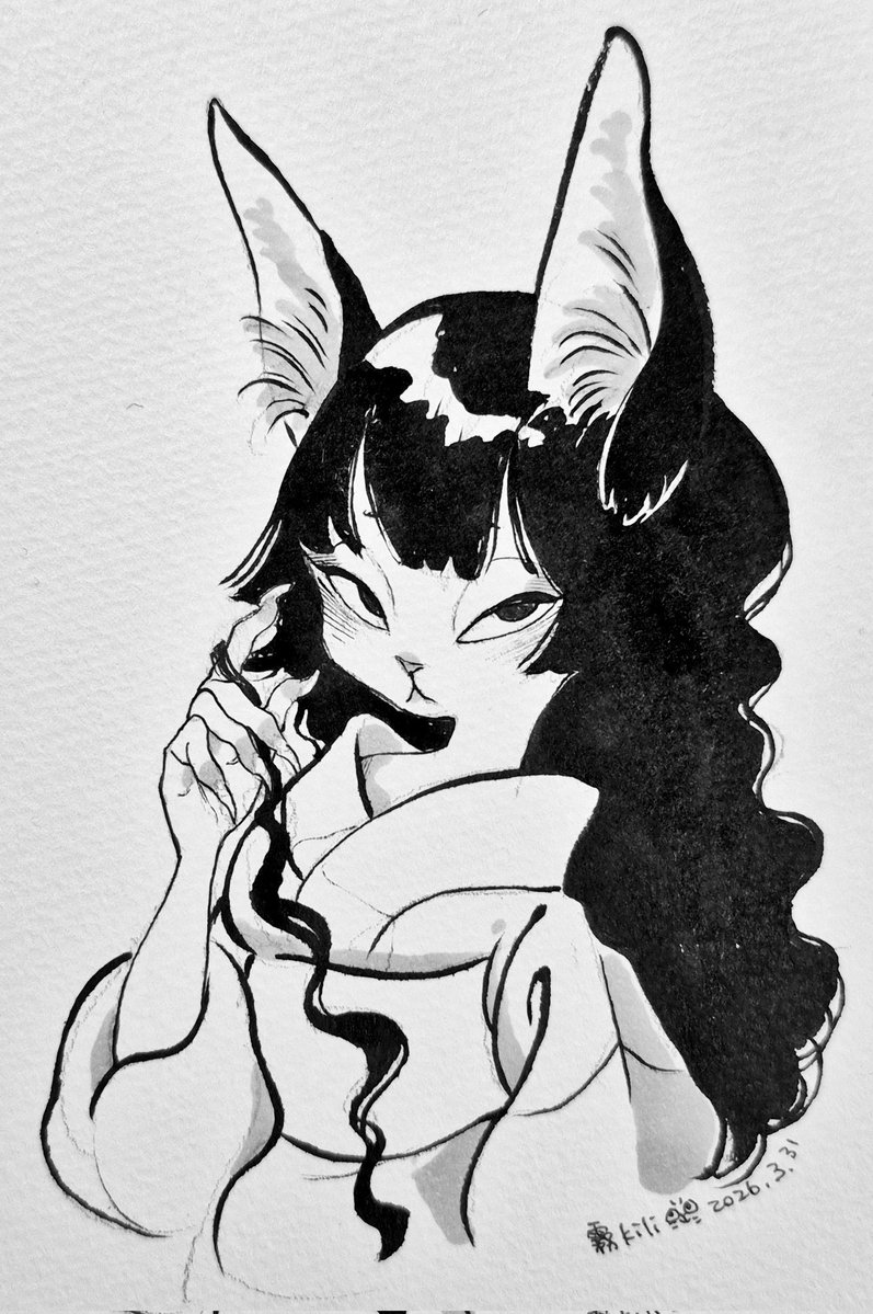 筆ペン、つけぺん、コピック🥳✒️