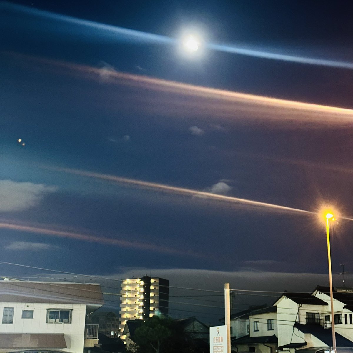 十三夜の月が綺麗｡