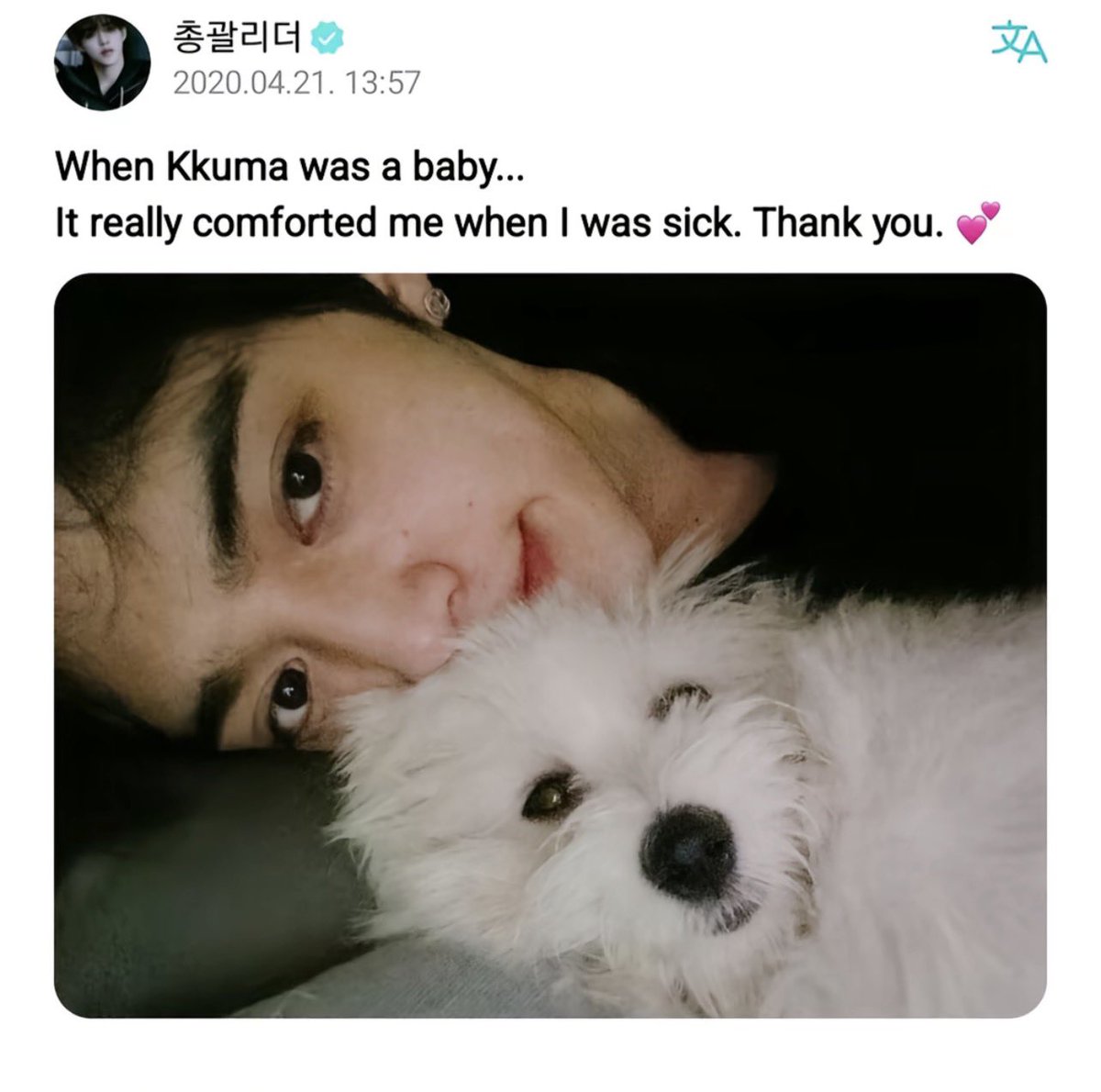 jisoo’s human clock 🕰️ tweet media