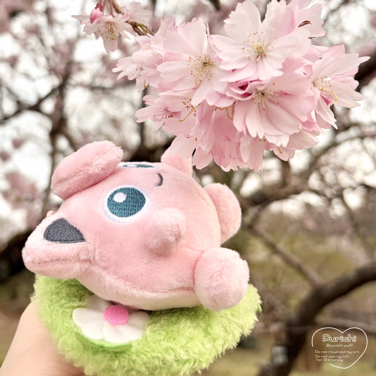 ぷりちー tweet media