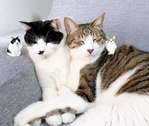 古田土 tweet media