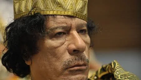 Danio987 | x-post-copier.online tweet media