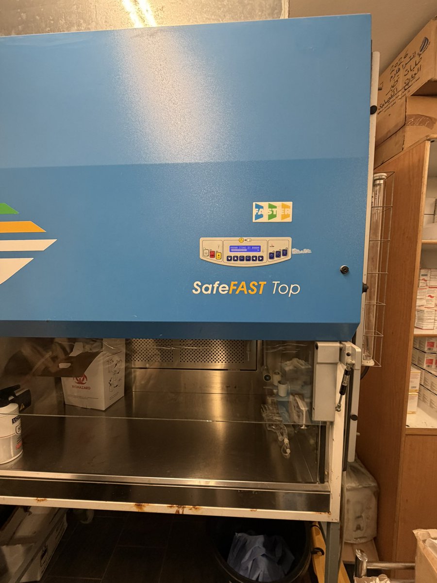 ODAY || 🇵🇸 tweet media