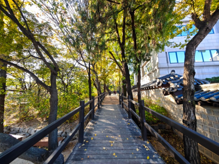 오로라 tweet media