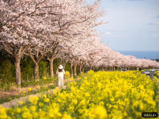 오로라 tweet media