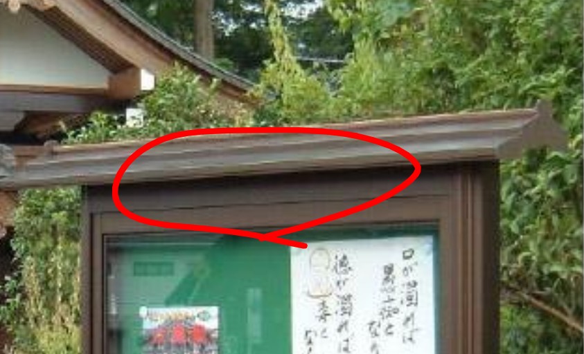 🚲☀それいゆ🌻3時30分起床⏰22時就寝😴 tweet media