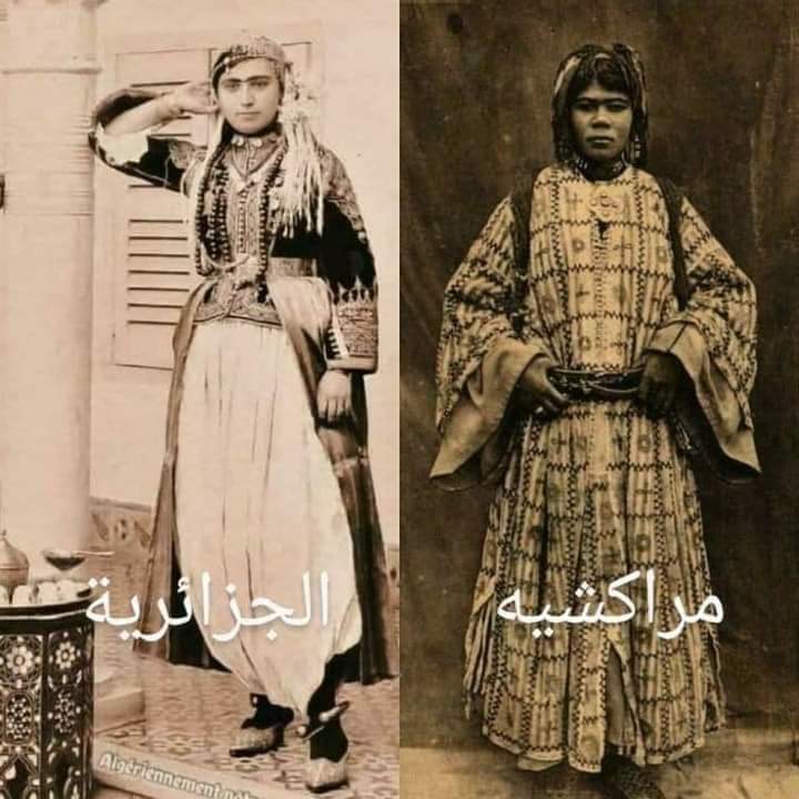 Daoud Ali داود علي 🇩🇿🕌🇩🇿🇵🇸🇪🇭 tweet media