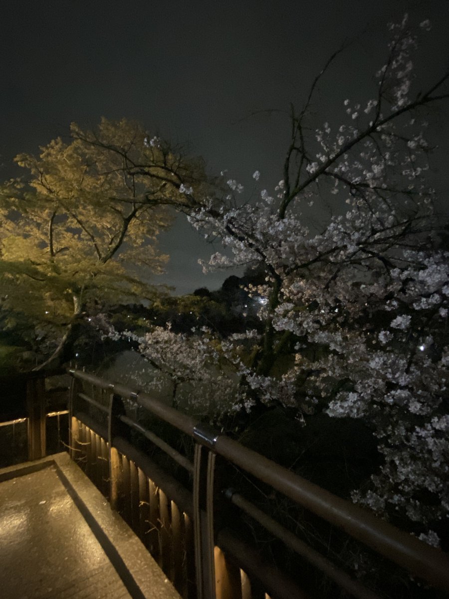 鈴月玄都 仙人套皮繪師接委中↙️ tweet media