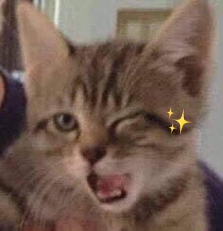 Severian. tweet media