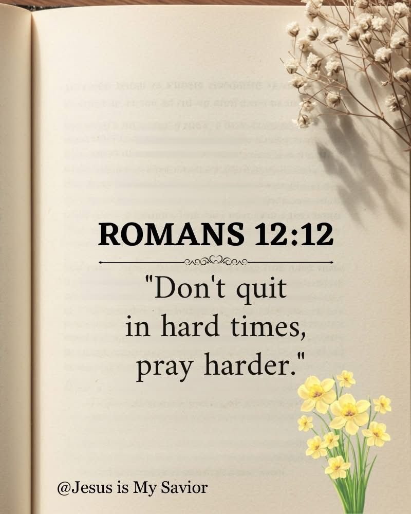 Dear Lord tweet media