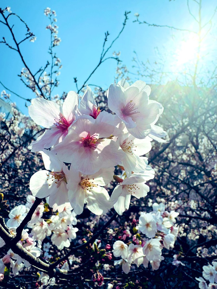 3月振り返り