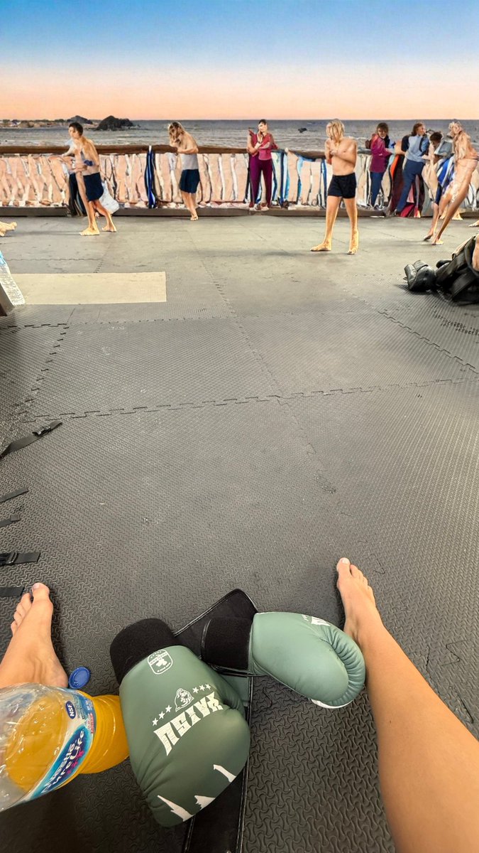 fairy-diary tweet media