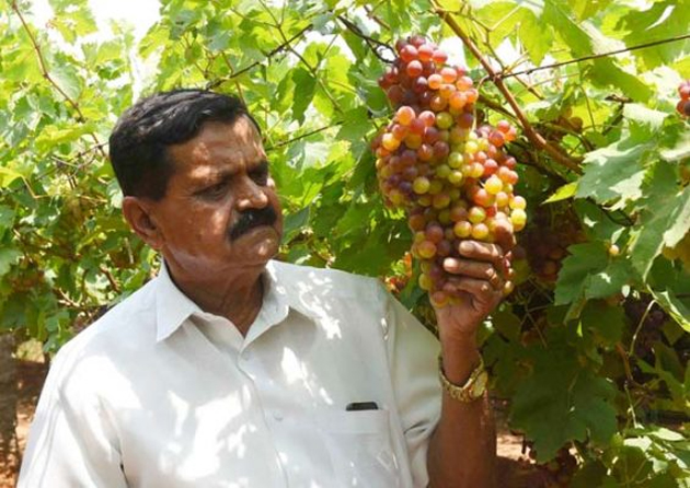 STATLOGS tweet media