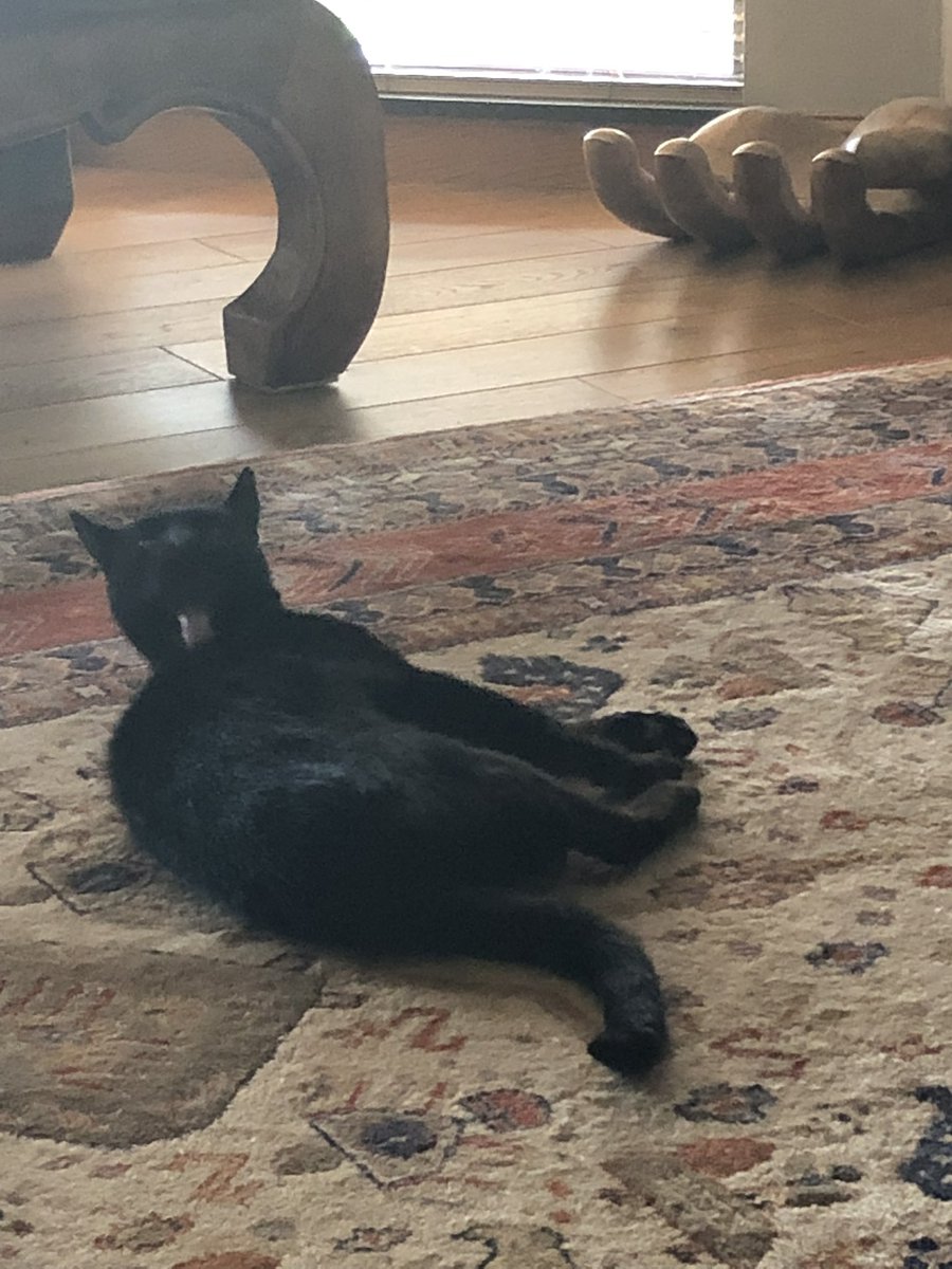 Chris (Ian Ure’s Arthritic Knees) tweet media