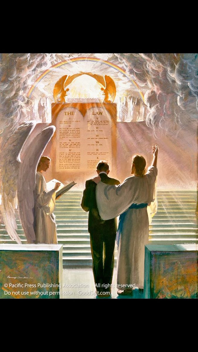 Bible Study tweet media