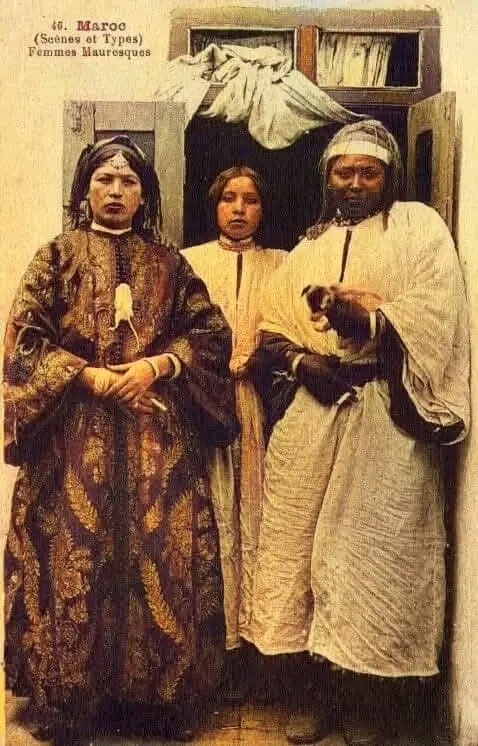 Daoud Ali داود علي 🇩🇿🕌🇩🇿🇵🇸🇪🇭 tweet media