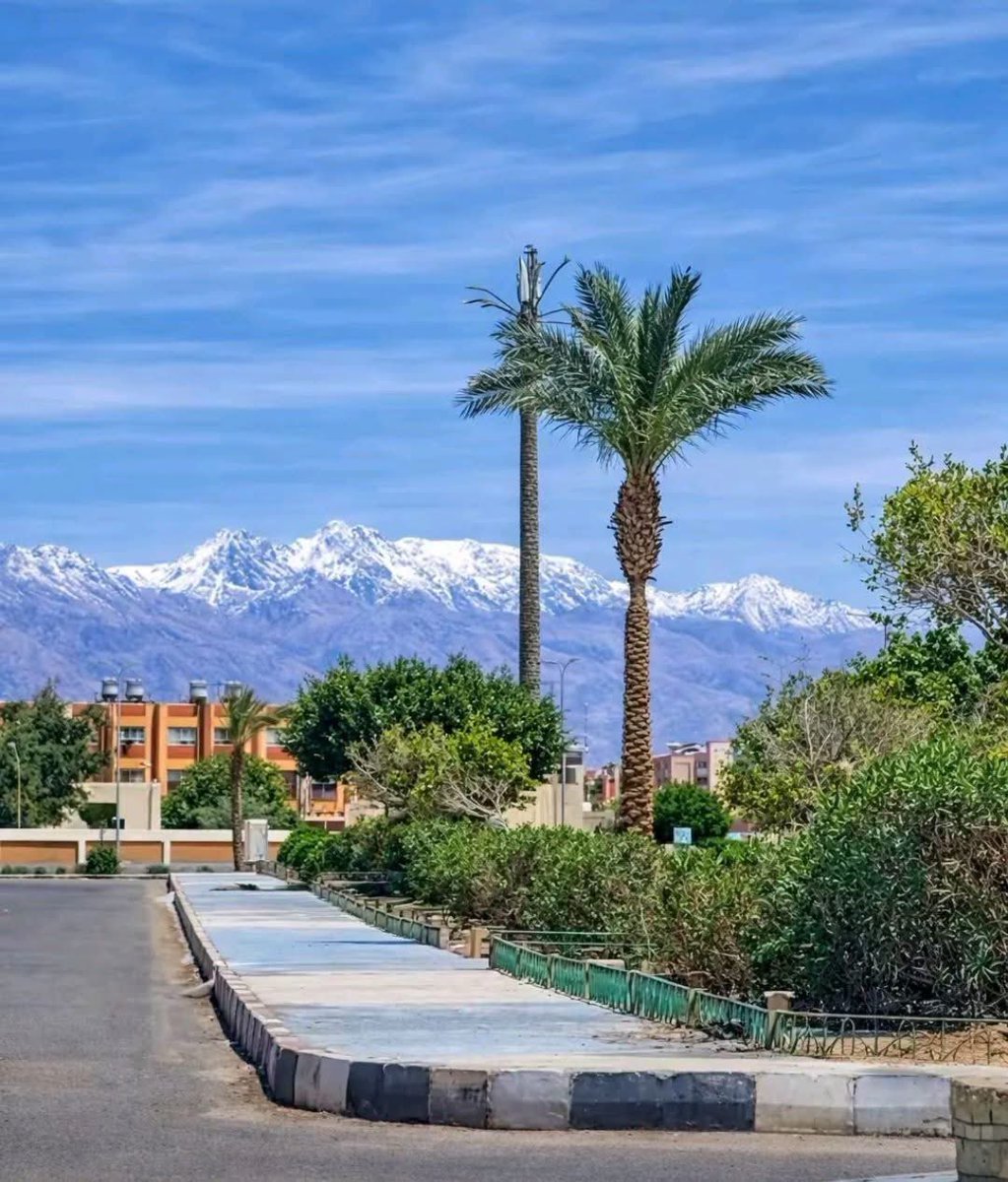 عادل المزيني tweet media