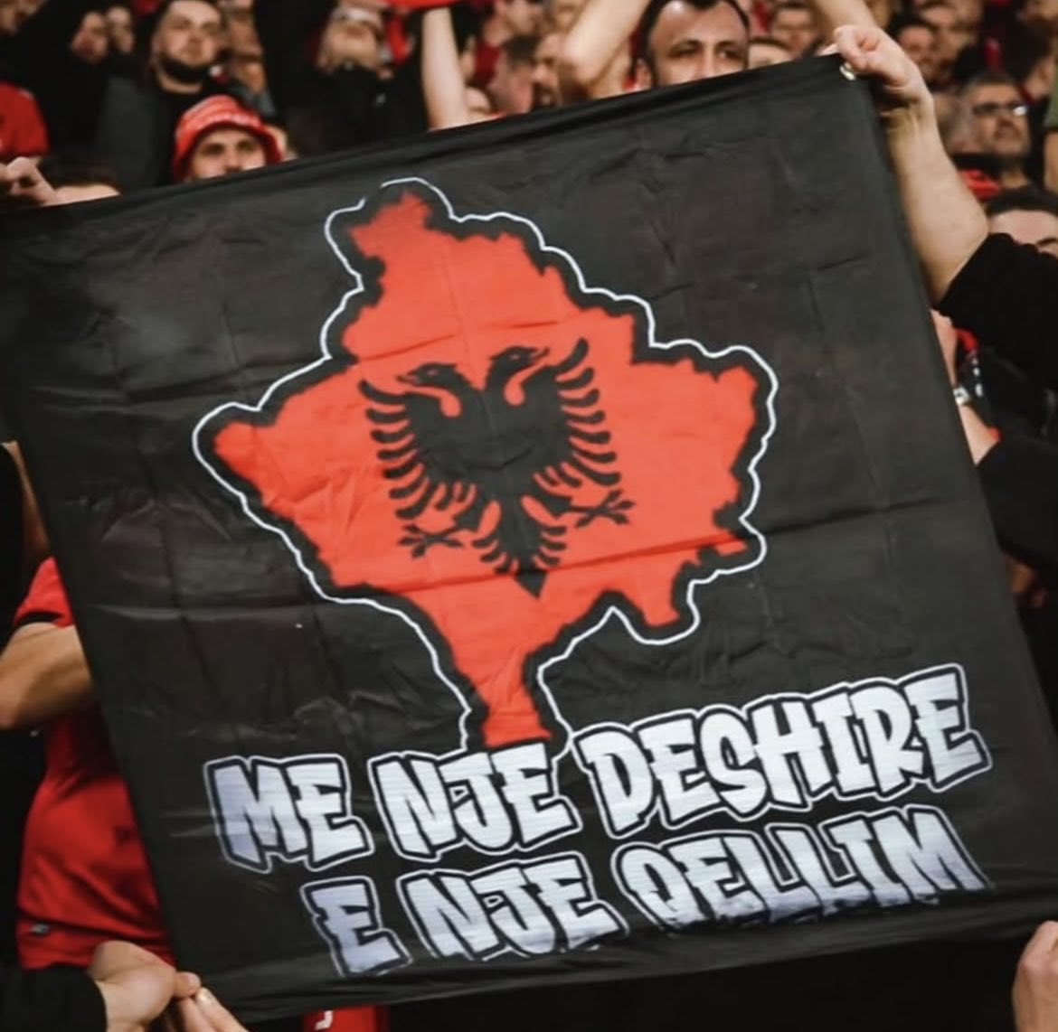 Emira.Selimi1 tweet media