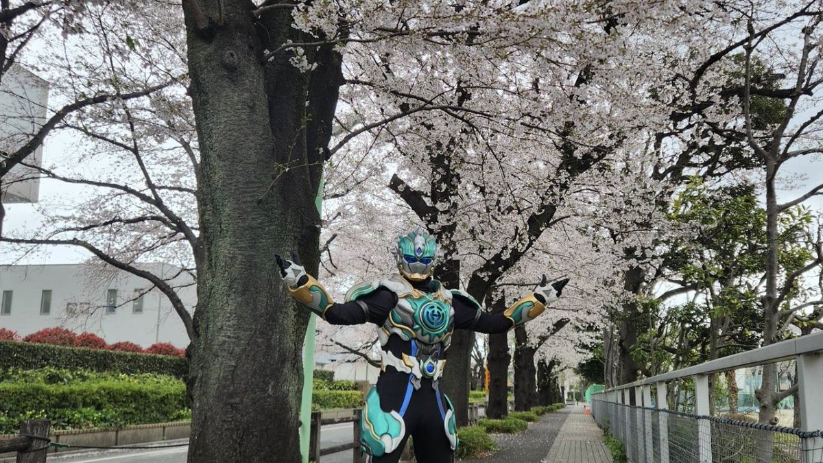 蒼象神ザナ【公式】ザナプロジェクト tweet media