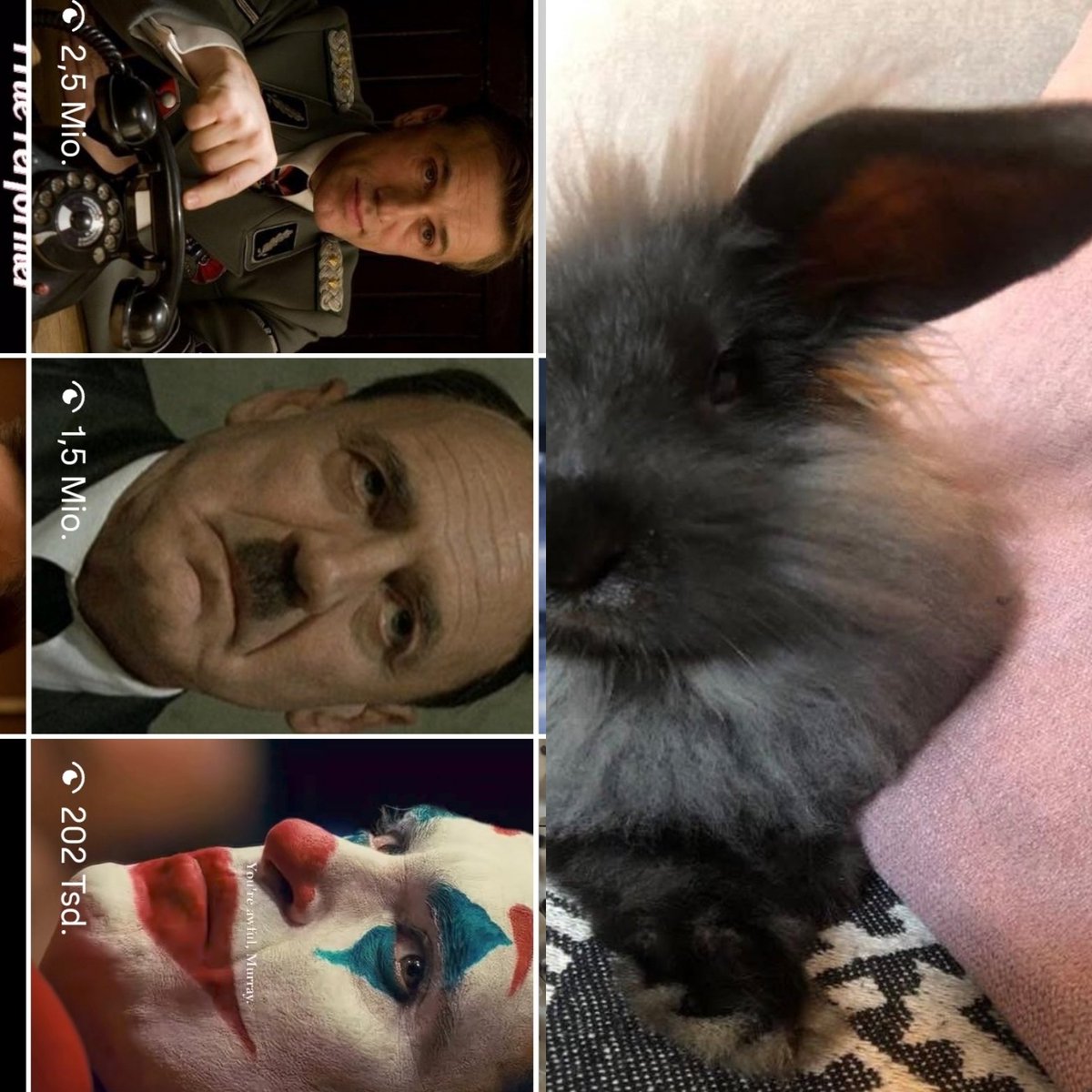 Susan Wayland tweet media