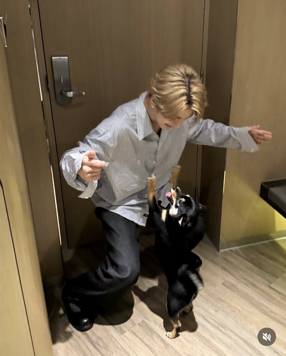 はーすけ tweet media