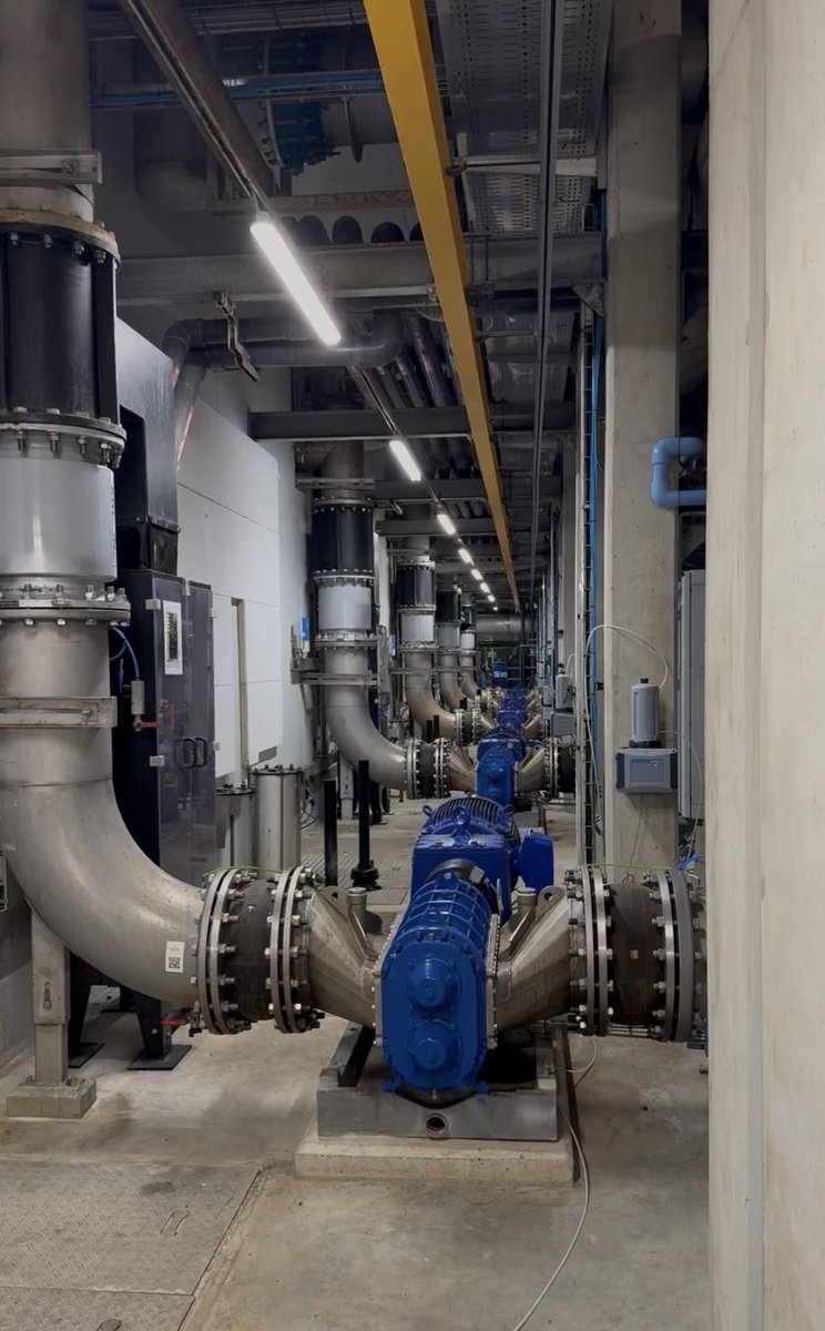 Msa Mkhize tweet media