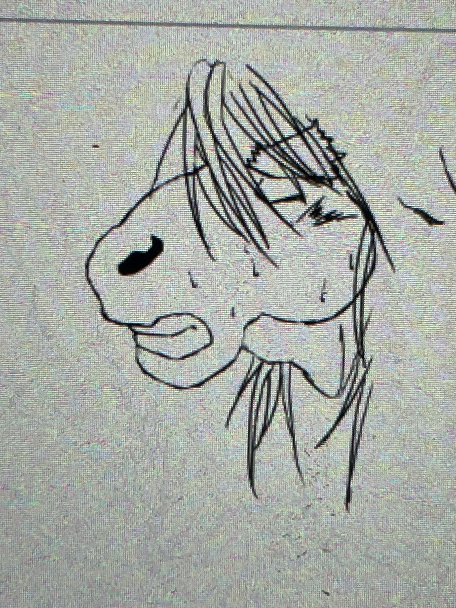 花カツヲ　関西けもケット　J-05 tweet media