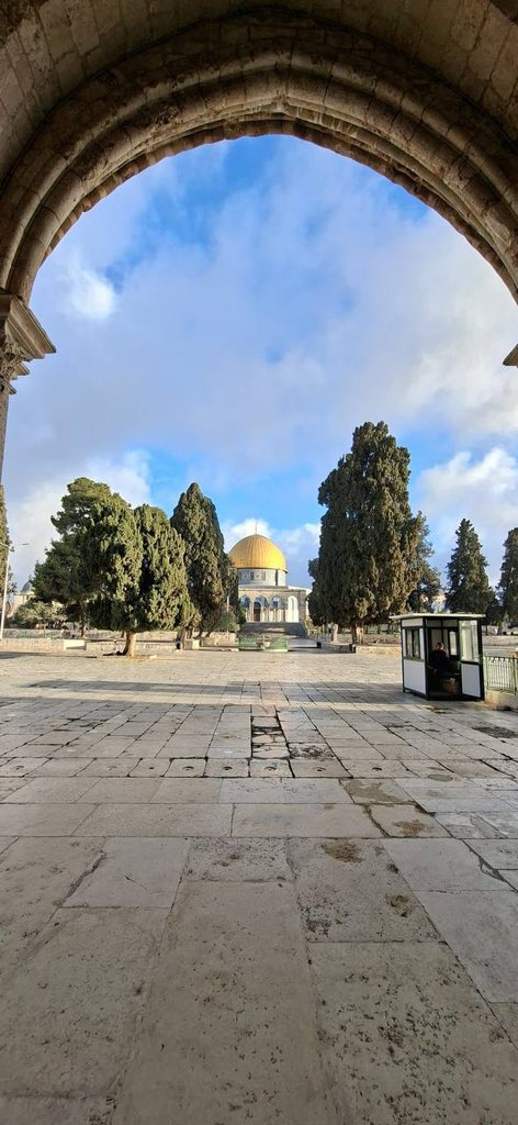 Motasem A Dalloul tweet media