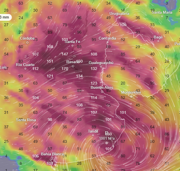 El Oráculo de Trenque Lauquen tweet media