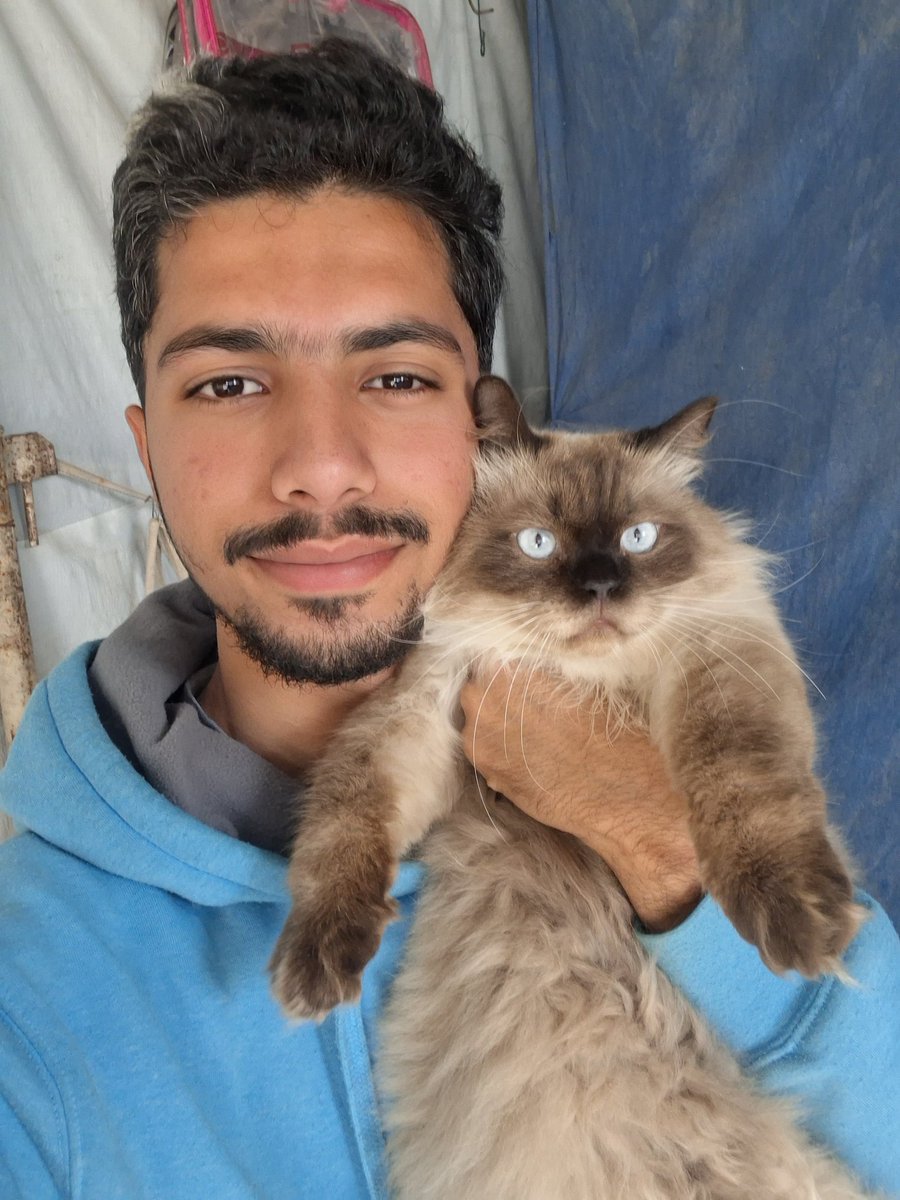 Mustafa𓂆 tweet media