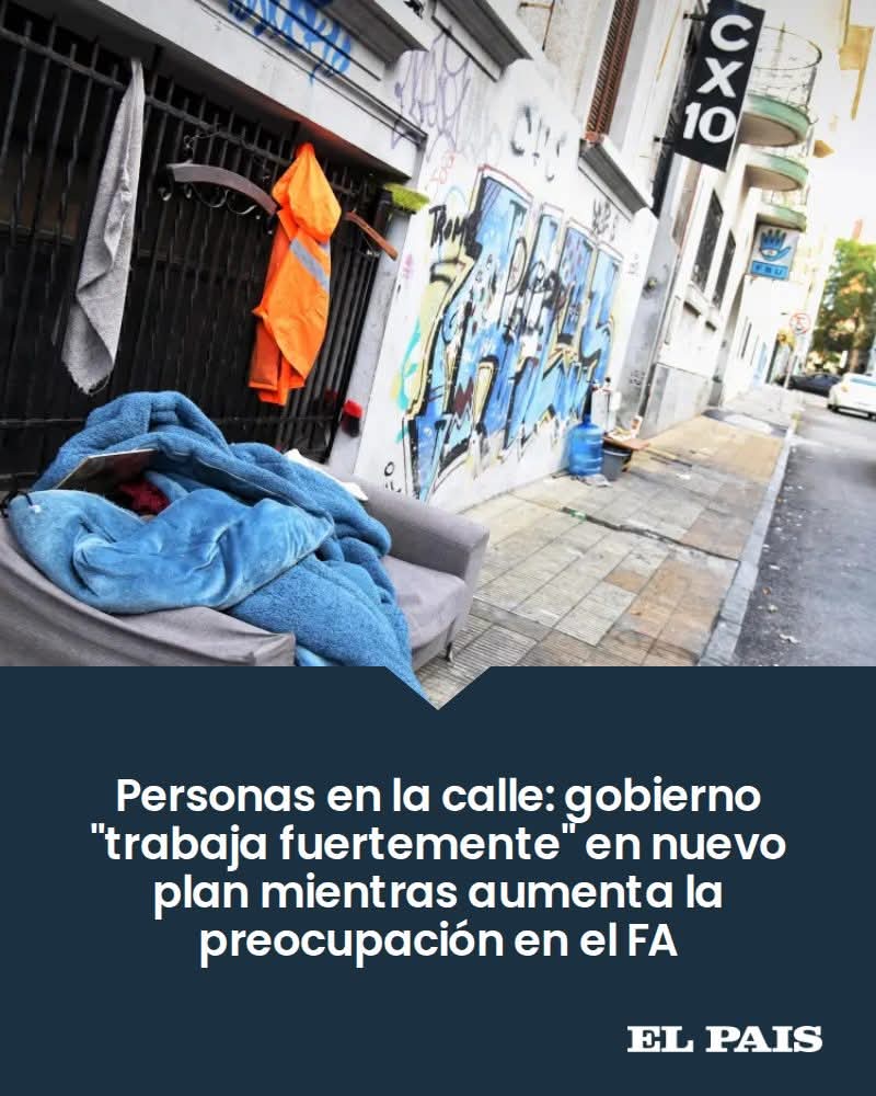 Silvana De Francesco tweet media