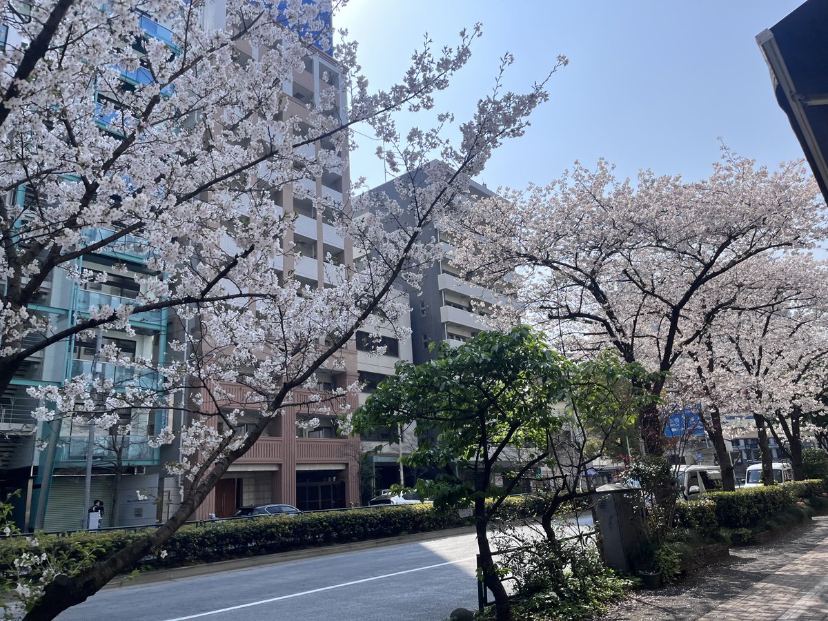 7️⃣❤️ tweet media