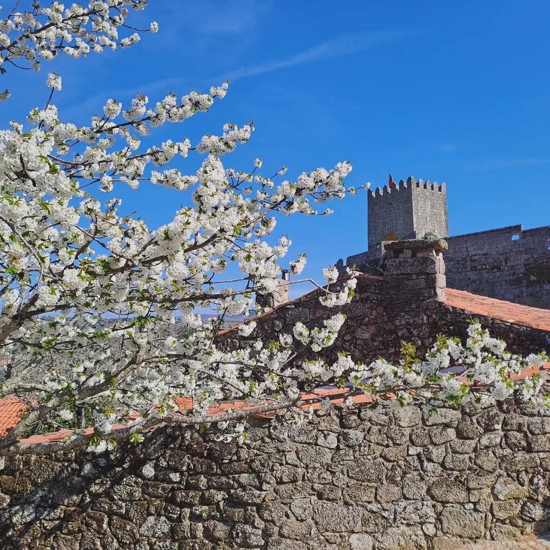 AldeiasHistóricasPT tweet media