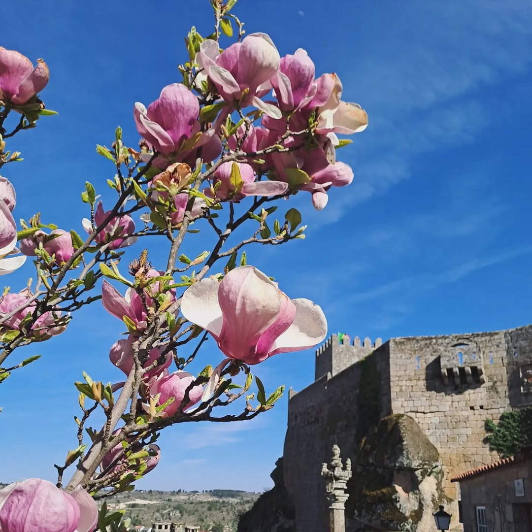 AldeiasHistóricasPT tweet media