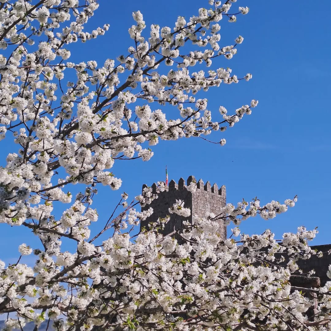 AldeiasHistóricasPT tweet media