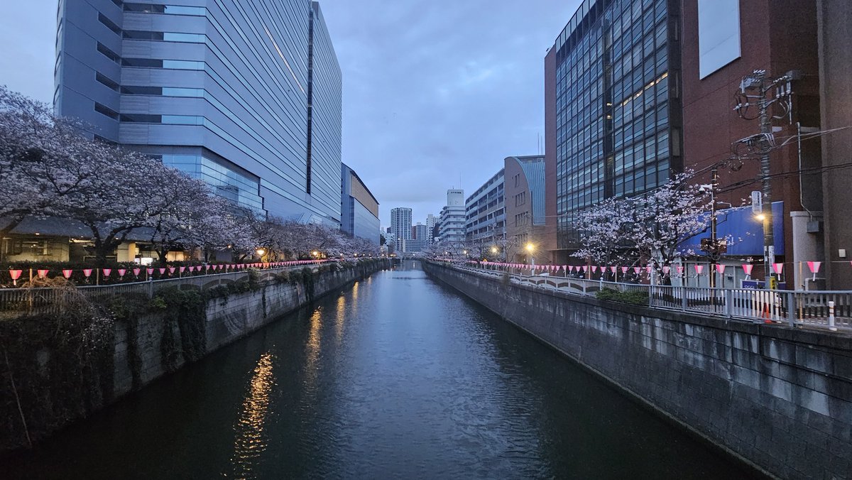 【公式】かわさきFM DreamKingdom Oh!月刊聴いてちょんまげフライデーパラダイス🌴 tweet media