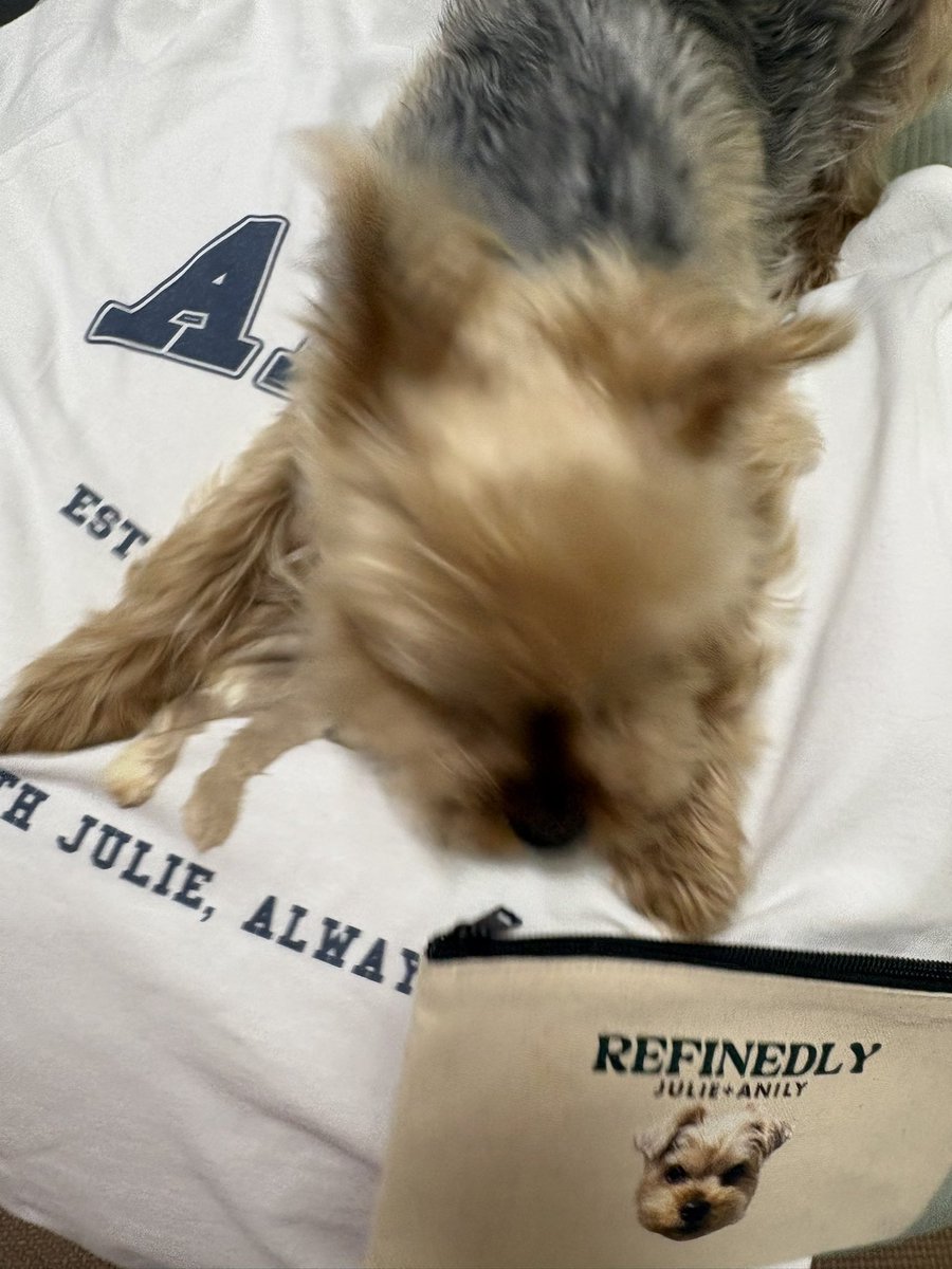 みさ/きろ tweet media