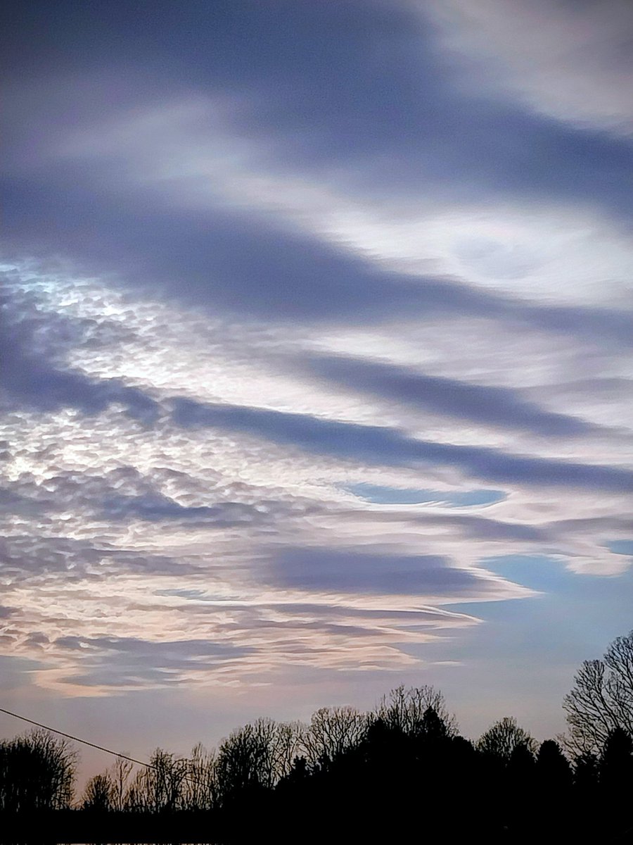 💞🌻Sarah tweet media