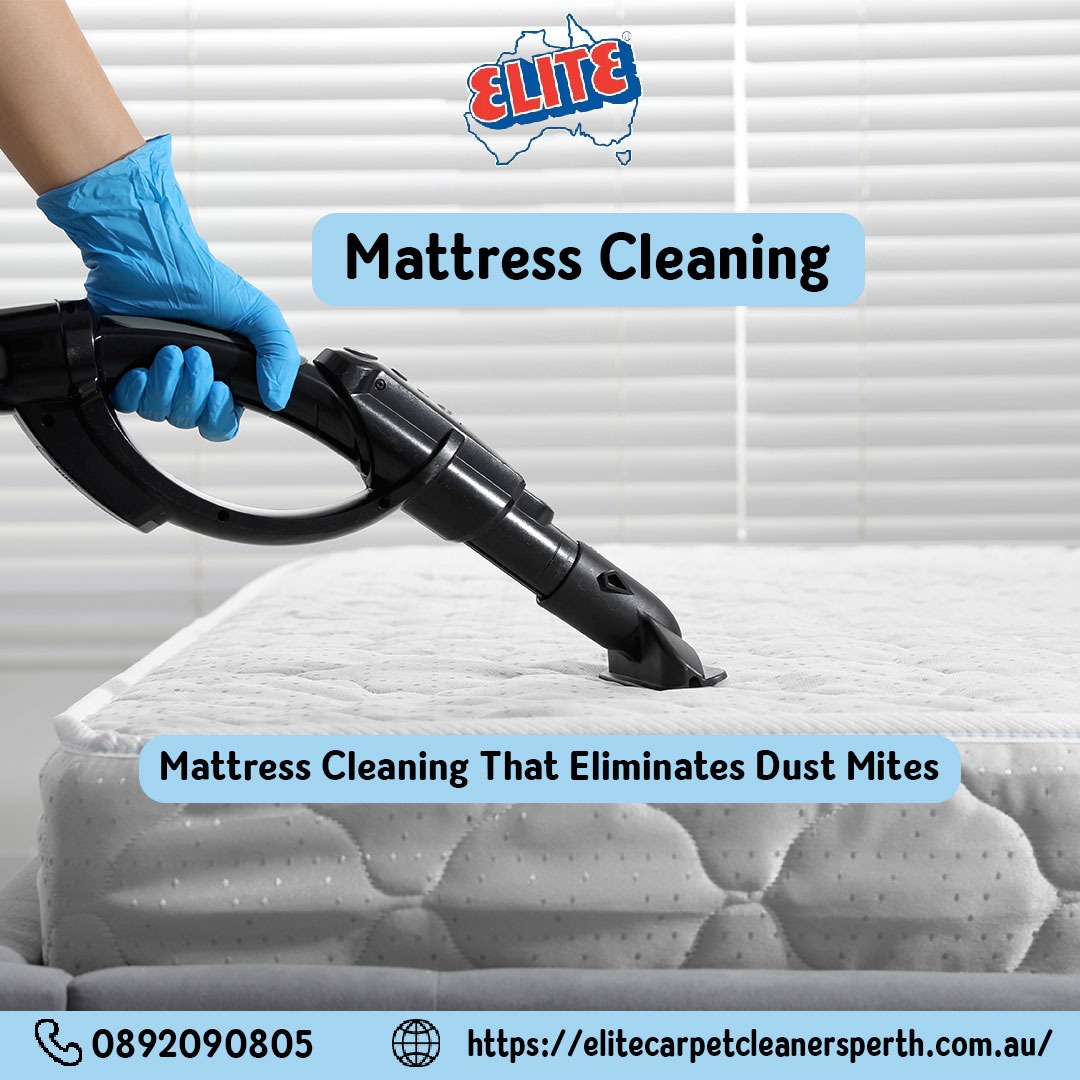 Elite Carpet Cleaner Perth tweet media