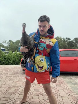 RobertGamba tweet media