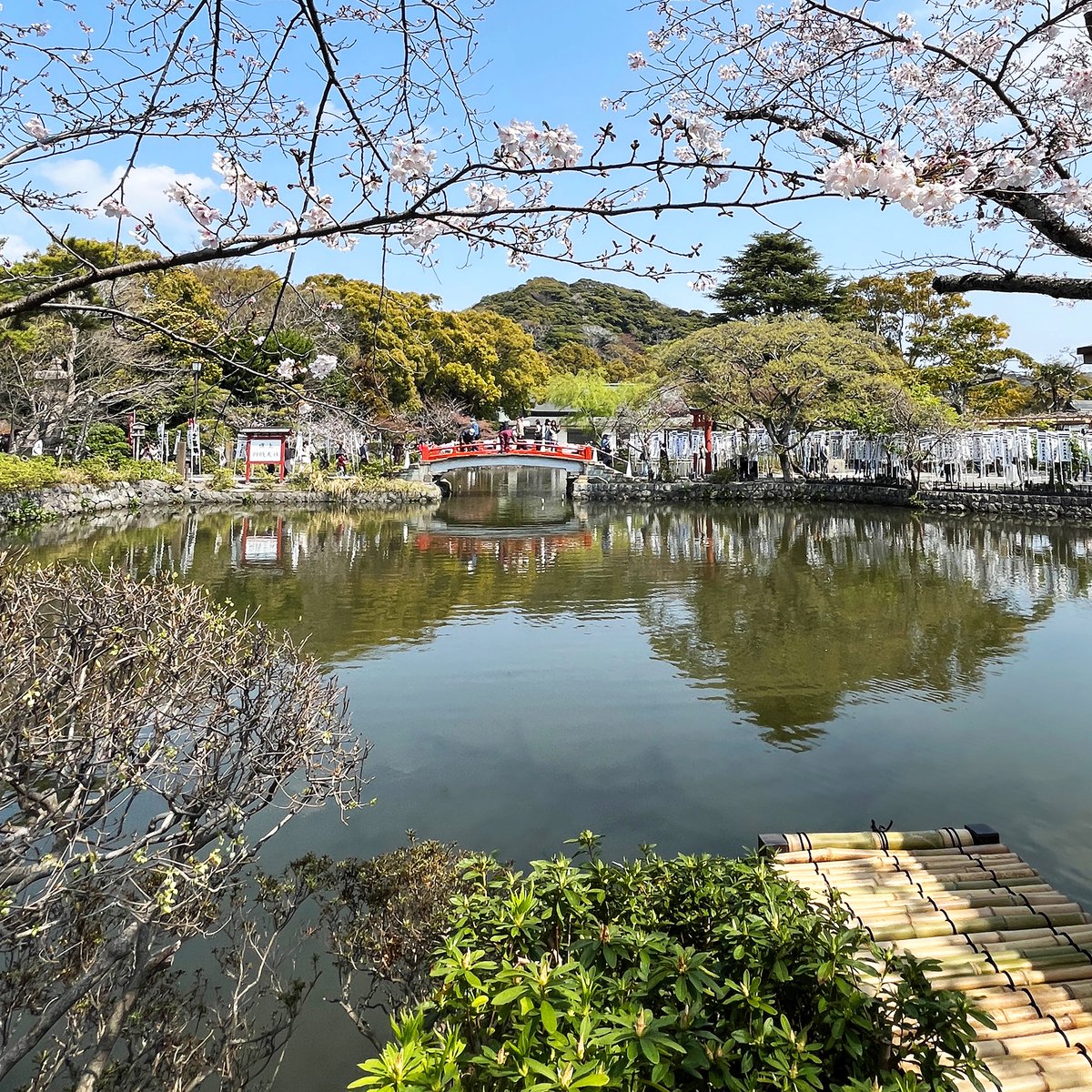 かしわらあきお tweet media