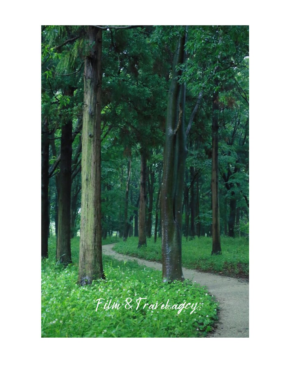 film&travel.agcy. 4/19㈰⛩️金村別雷神社 5/24㈰高崎自然の森 tweet media