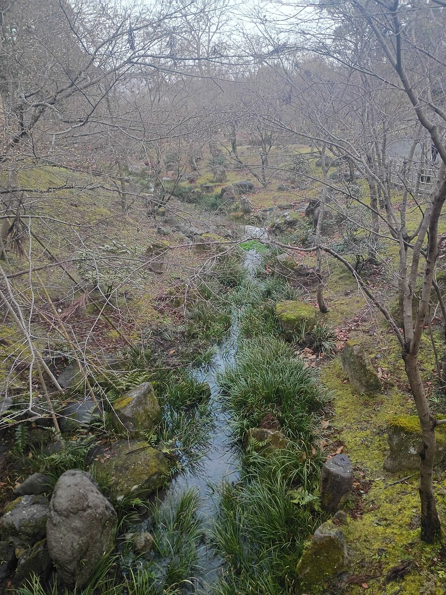 BuffaloRon tweet media