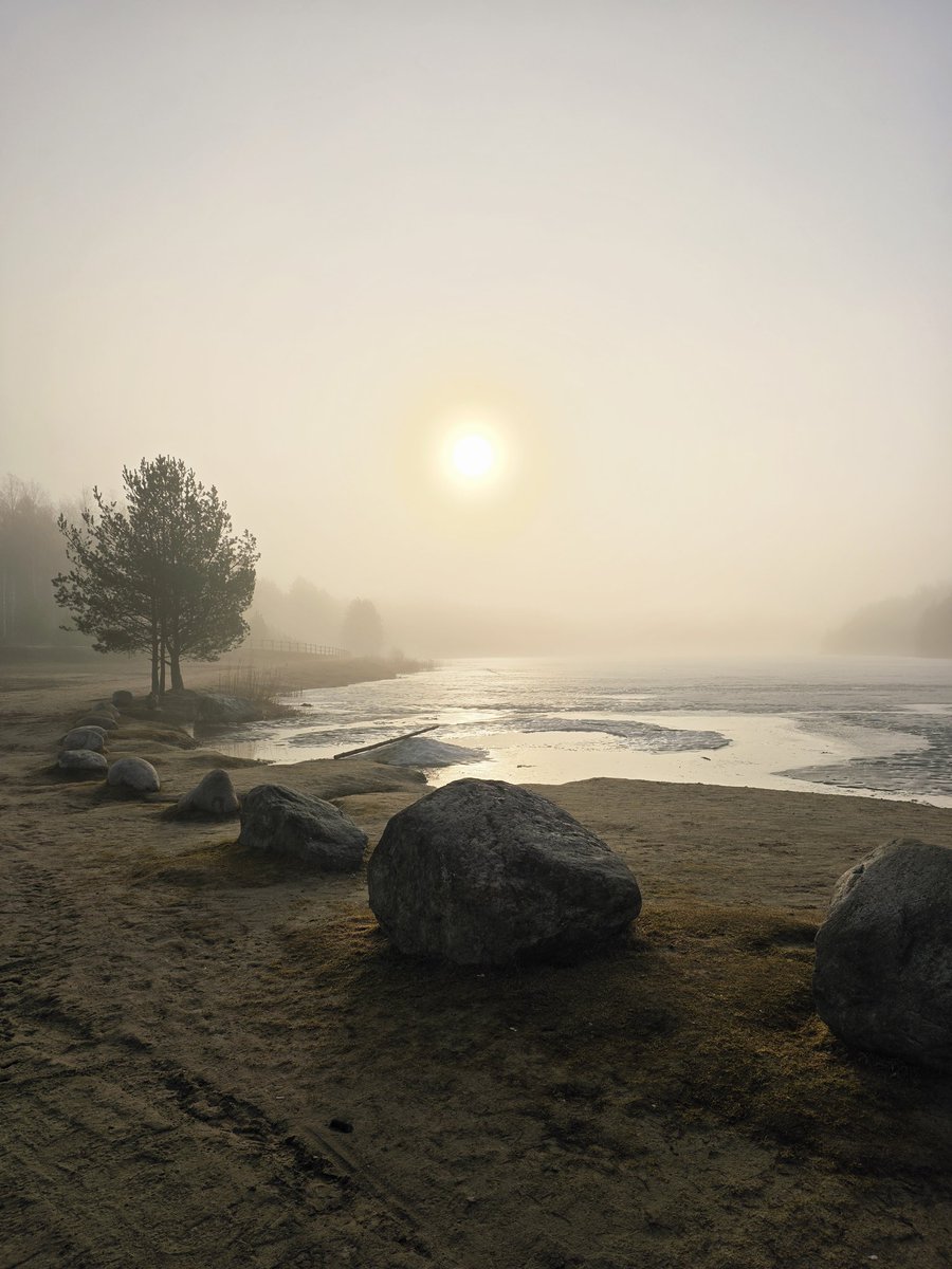 Arta ❤️🇺🇦 tweet media