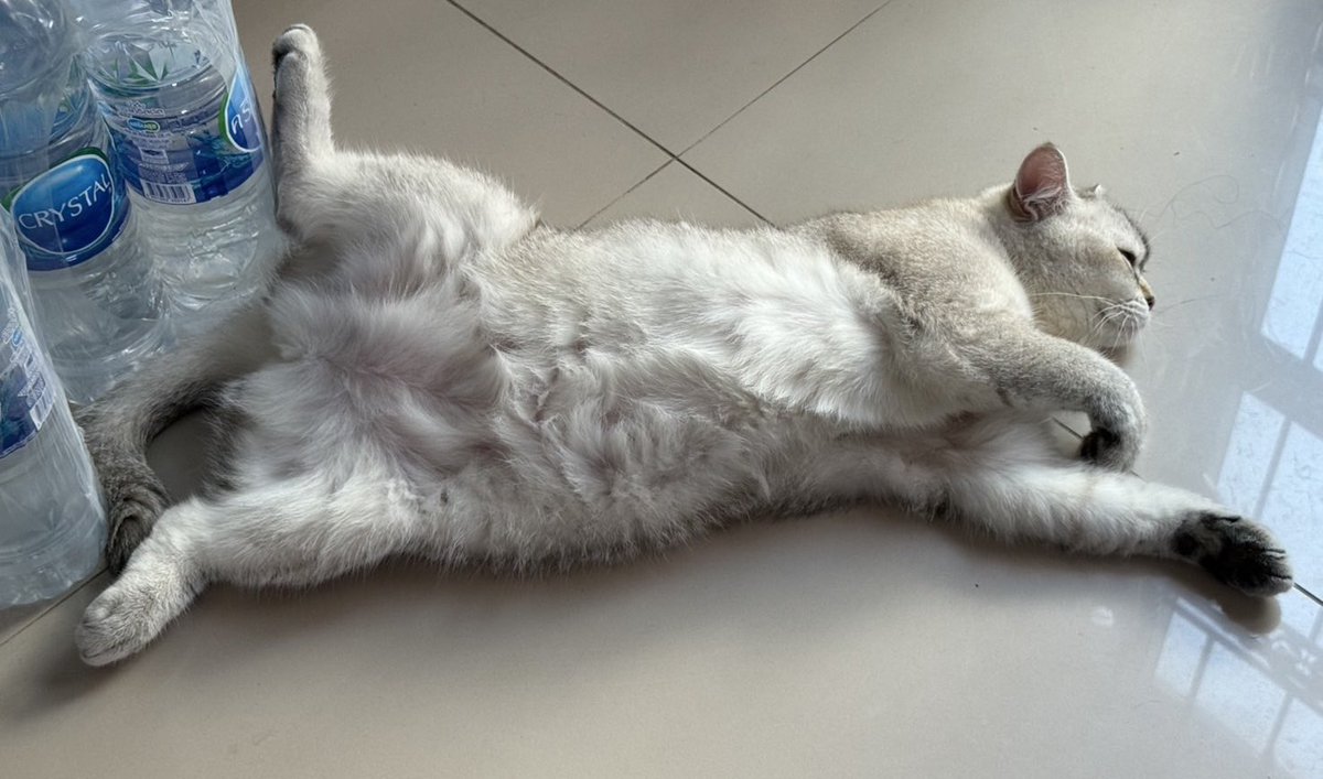 fluffy🌻ིྀ*.ﾟ tweet media